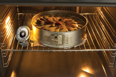 Salter Oven Thermometer 513SSCR